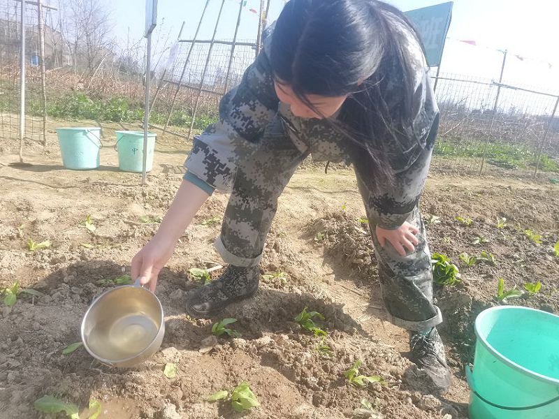 青少年特训学校之正确看待孩子成长的问题(图2)