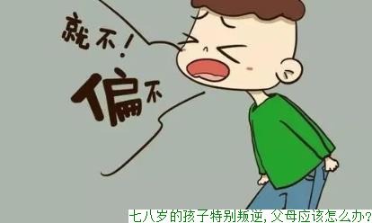 七八岁的孩子特别叛逆,父母应该怎么办?