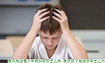 焦作叛逆青少年特训学校怎么样,焦作孩子叛逆厌学怎么办