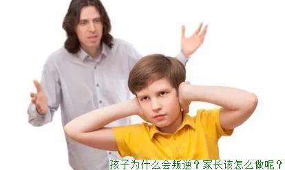 孩子为什么会叛逆？家长该怎么做呢？