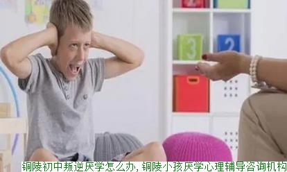 铜陵初中叛逆厌学怎么办,铜陵小孩厌学心理辅导咨询机构(图1)