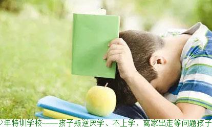 汉川正苗青少年特训学校----孩子叛逆厌学、不上学、离家出走等问题孩子(图1)