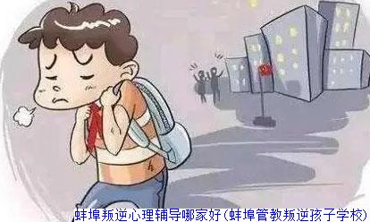 蚌埠叛逆心理辅导哪家好(蚌埠管教叛逆孩子学校)