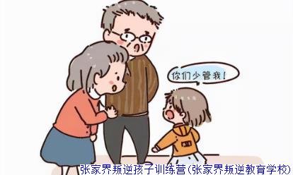 张家界叛逆孩子训练营(张家界叛逆教育学校)