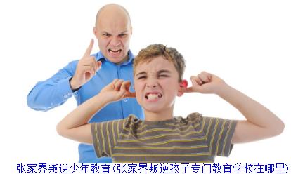 张家界叛逆少年教育(张家界叛逆孩子专门教育学校在哪里)