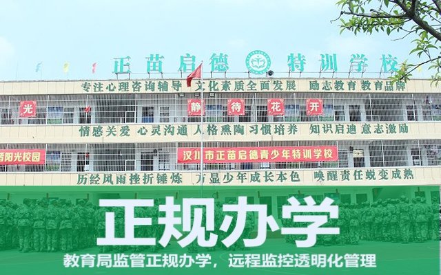 叛逆期孩子全封闭学校怎么收费(叛逆孩子全封闭学校)