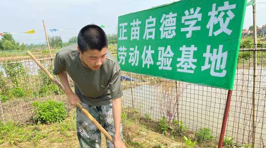 孩子叛逆有哪些表现？