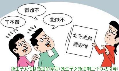 独生子女性格叛逆的原因(独生子女叛逆期三个办法引导)