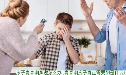 孩子青春期叛逆怎么办(青春期孩子真正需要的是什么)