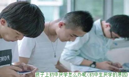孩子上初中厌学怎么办呢(初中生厌学的原因)