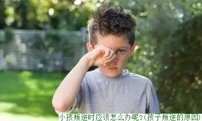 小孩叛逆时应该怎么办呢?(孩子叛逆的原因)