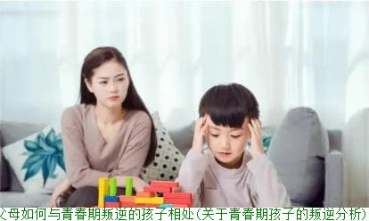 父母如何与青春期叛逆的孩子相处(关于青春期孩子的叛逆分析)