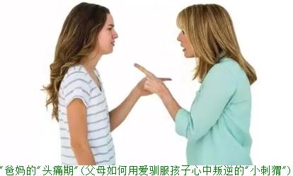 孩子的"逆反期"爸妈的"头痛期"(父母如何用爱驯服孩子心中叛逆的"小刺猬")