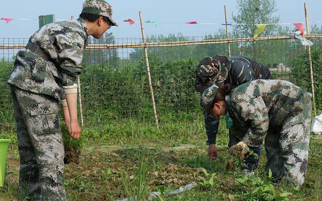 有没有封闭式特训学校(哪里有封闭式特训学校)(图2)