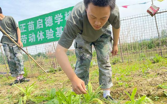 叛逆小孩全封闭学校怎么样(全封闭叛逆学校)(图2)