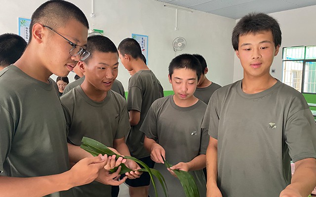 浙江金华叛逆青少年封闭学校怎么收费(青少年叛逆封闭学校)(图2)